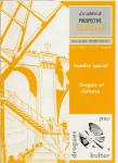 Drogues, santé, prévention (anciennement Les cahiers de Prospective Jeunesse), n° 17 (Nr. spécial) - Vol. 5 n° 3 - Drogues et cultures