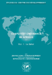 Conflits et croissance en Afrique I